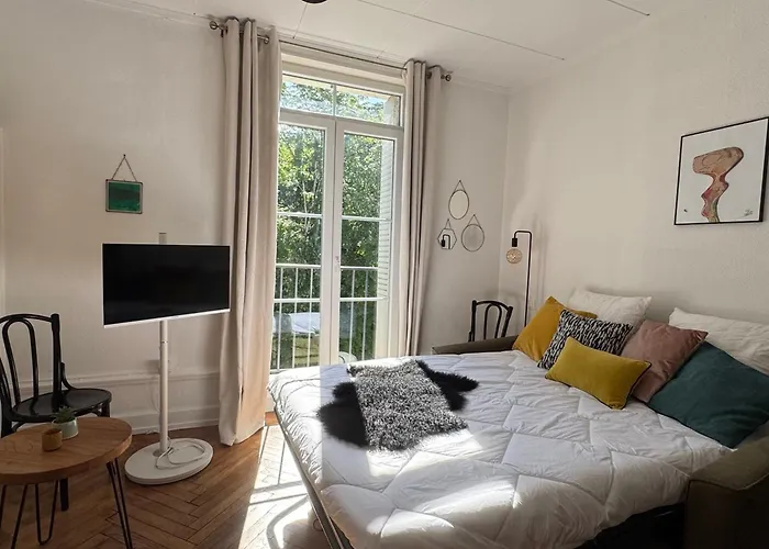 Cosy Avec Balcon Et Piscine A - Fr-1-555-115 * Aix-les-Bains